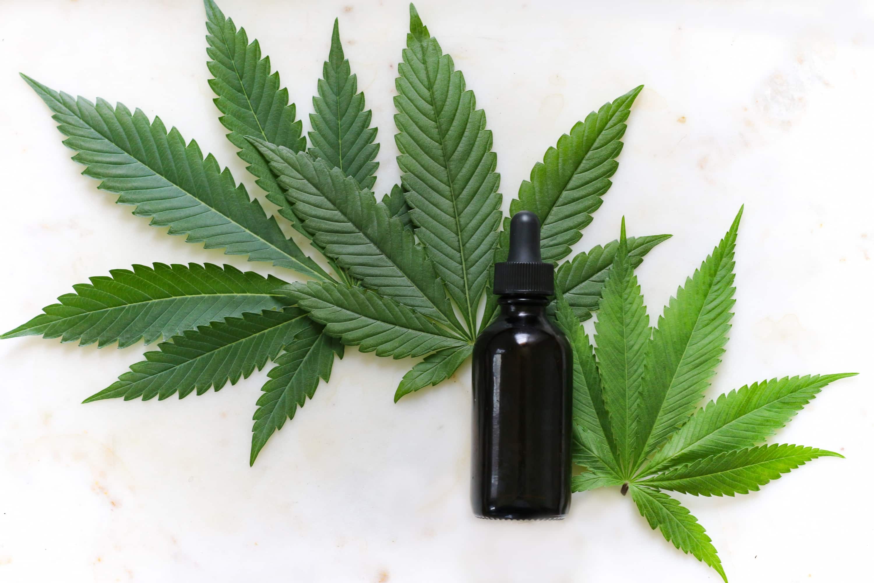 CBD 101: What is CBD, How it Works, and How it Helps